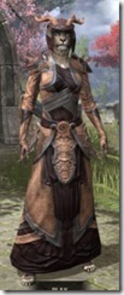 Wood-Elf-Spidersilk-Khajiit-Female-Robe-Front_thumb.jpg