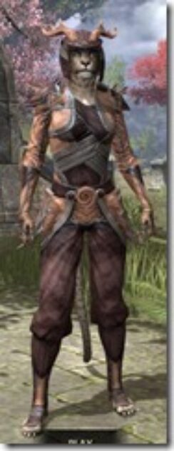Wood-Elf-Spidersilk-Khajiit-Female-Shirt-Front_thumb.jpg