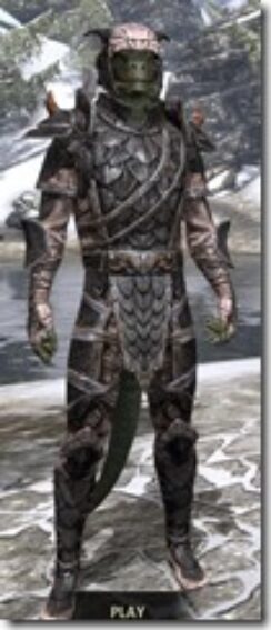 Wood-Elf-Steel-Argonian-Male-Front_thumb.jpg