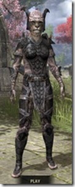 Wood-Elf-Steel-Khajiit-Female-Front_thumb.jpg