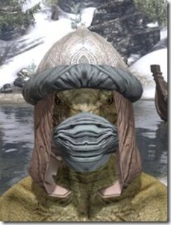 Abahs-Watch-Rawhide-Argonian-Male-Front_thumb.jpg