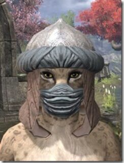Abahs-Watch-Rawhide-Khajiit-Female-Front_thumb.jpg