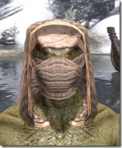 Akaviri-Homespun-Hat-Argonian-Male-Front_thumb.jpg