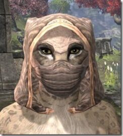 Akaviri-Homespun-Hat-Khajiit-Female-Front_thumb.jpg
