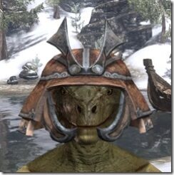 Akaviri-Rawhide-Helmet-Argonian-Male-Front_thumb.jpg