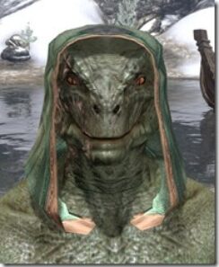 Ancient-Orc-Homespun-Hat-Argonian-Male-Front_thumb.jpg