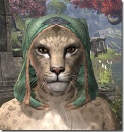 Ancient-Orc-Homespun-Hat-Khajiit-Female-Front_thumb.jpg