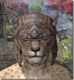 Ancient-Orc-Rawhide-Helmet-Khajiit-Female-Front_thumb.jpg