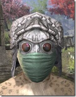 Ashlander-Homespun-Hat-Khajiit-Female-Front_thumb.jpg