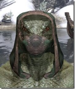 Assassins-League-Homespun-Hat-Argonian-Male-Front_thumb.jpg
