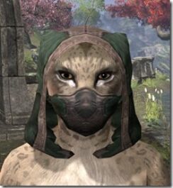 Assassins-League-Homespun-Hat-Khajiit-Female-Front_thumb.jpg