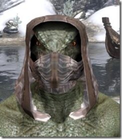 Assassins-League-Iron-Helm-Argonian-Male-Front_thumb.jpg