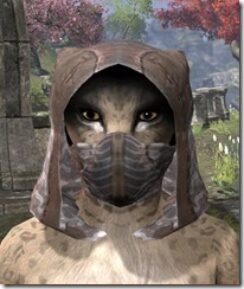 Assassins-League-Iron-Helm-Khajiit-Female-Front_thumb.jpg