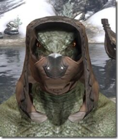 Assassins-League-Rawhide-Helmet-Argonian-Male-Front_thumb.jpg