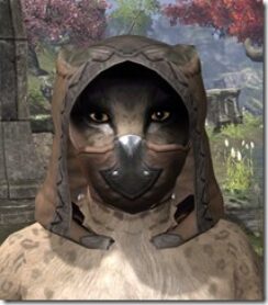 Assassins-League-Rawhide-Helmet-Khajiit-Female-Front_thumb.jpg