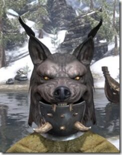 Balorgh-Visage-Argonian-Male-Front_thumb.jpg