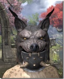Balorgh-Visage-Khajiit-Female-Front_thumb.jpg