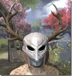 Bloodforge-Rawhide-Helmet-Khajiit-Female-Front_thumb.jpg