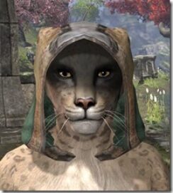 Breton-Hat-1-Khajiit-Female-Front_thumb.jpg