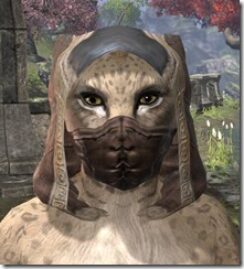 Breton-Hat-3-Khajiit-Female-Front_thumb.jpg