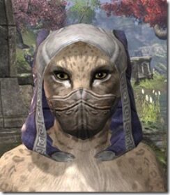 Breton-Hat-4-Khajiit-Female-Front_thumb.jpg