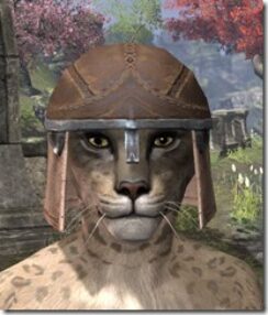 Breton-Helmet-1-Khajiit-Female-Front_thumb.jpg