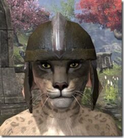 Breton-Helmet-3-Khajiit-Female-Front_thumb.jpg