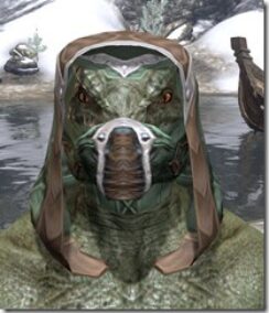 Dark-Brotherhood-Homespun-Hat-Argonian-Male-Front_thumb.jpg
