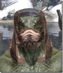 Dark-Brotherhood-Iron-Helm-Argonian-Male-Front_thumb.jpg