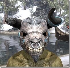 Domihaus-Visage-Argonian-Male-Front_thumb.jpg