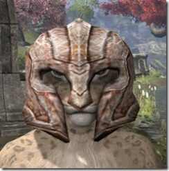 Draugr-Homespun-Hat-Khajiit-Female-Front_thumb.jpg