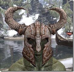 Draugr-Iron-Helm-Argonian-Male-Front_thumb.jpg