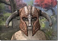 Draugr-Rawhide-Helmet-Khajiit-Female-Front_thumb.jpg