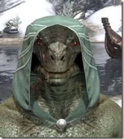 Ebonshadow-Homespun-Hat-Argonian-Male-Front_thumb.jpg