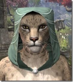 Ebonshadow-Homespun-Hat-Khajiit-Female-Front_thumb.jpg