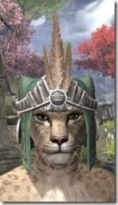 Elder-Argonian-Homespun-Hat-Khajiit-Female-Front_thumb.jpg