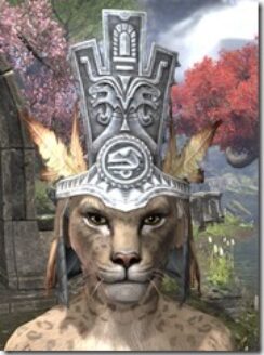 Elder-Argonian-Iron-Helm-Khajiit-Female-Front_thumb.jpg