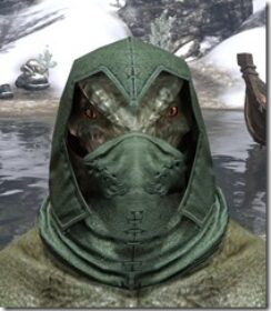 Grim-Harlequin-Homespun-Hat-Argonian-Male-Front_thumb.jpg