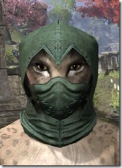 Grim-Harlequin-Homespun-Hat-Khajiit-Female-Front_thumb.jpg