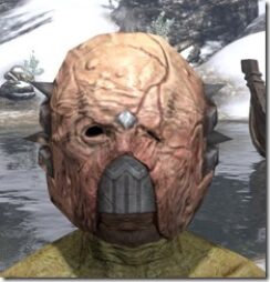 Grothdarr-Visage-Argonian-Male-Front_thumb.jpg