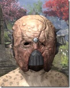 Grothdarr-Visage-Khajiit-Female-Front_thumb.jpg