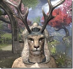 Huntsman-Homespun-Hat-Khajiit-Female-Front_thumb.jpg