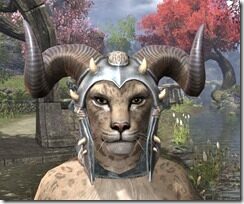 Huntsman-Iron-Helm-Khajiit-Female-Front_thumb.jpg