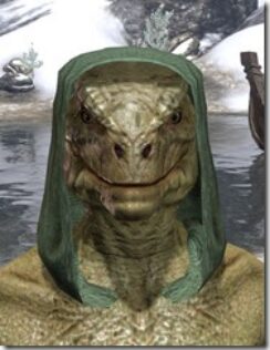 Imperial-Hat-1-Argonian-Male-Front_thumb.jpg