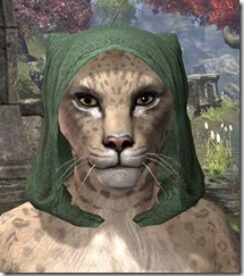 Imperial-Hat-1-Khajiit-Female-Front_thumb.jpg