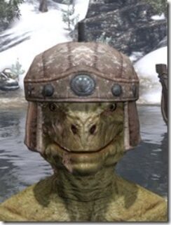Imperial-Hat-2-Argonian-Male-Front_thumb.jpg