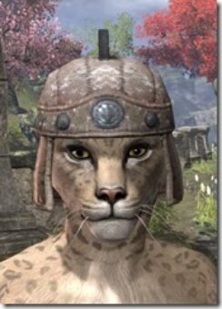 Imperial-Hat-2-Khajiit-Female-Front_thumb.jpg