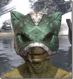 Khajiit-Hat-1-Argonian-Male-Front_thumb.jpg
