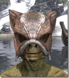 Khajiit-Hat-2-Argonian-Male-Front_thumb.jpg