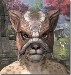 Khajiit-Hat-2-Khajiit-Female-Front_thumb.jpg